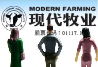 现代牧业业绩困局:连续累计亏损13.98亿 大规模养殖有隐患