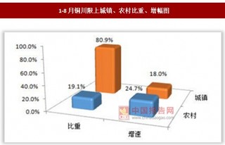 2017年1-8我国陕西铜川市城镇限上企业单位实现社会消费品零售额46.03亿元