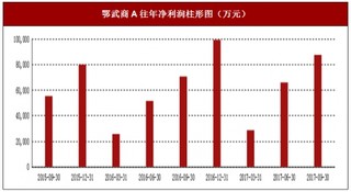 2017年上半年鄂武商A商品销售、其他(补充)行业市场销售现状与区域销售占比情况【图】