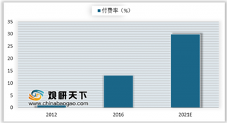 2019年我国在线视频发展前景:用户规模增速放缓 会员付费市场潜力可观