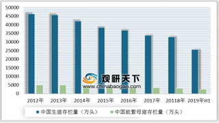 广东3000冻猪肉将于中秋国庆期间投放市场 未来中国生猪养殖规模将会扩大