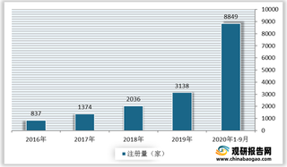 我国托育托管行业规模分析:企业数量及市场规模均呈增长态势