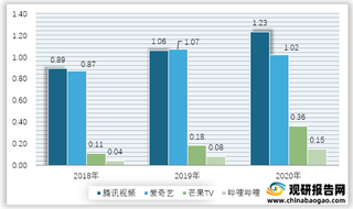2018-2020年我国部分头部长视频平台会员数量情况