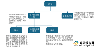 我国非小细胞肺癌靶向药物行业发展现状:需求基数不断增加 推动百亿市场规模扩大