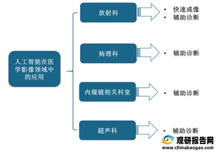 第二届中国光谷人工beplay下载软件
大会:人工beplay下载软件
应用实现较大进步但仍需通过立法来规范