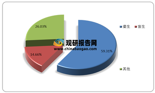 我国残疾人教育行业现状:政策及事业环境良好 各阶段在校人数总体保持增长