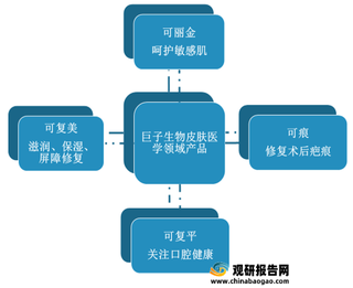我国医用皮肤修复敷料行业现状及竞争格局分析 市场向敷尔佳等头部品牌集中