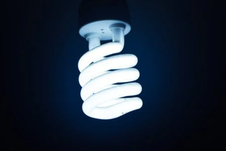 LED灯行业 组织有关行业组织和技术机构 促进行业质量水平提高