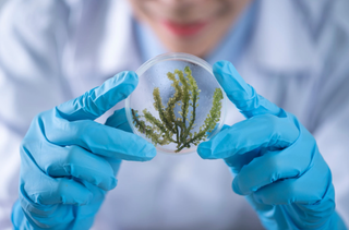 生物医药行业 产业集群崛起 预计2022年产业规模将突破4万亿元