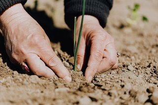 2023年我国农用氮磷钾化学肥料产量地区分布:湖北省以670.93万吨排名第一
