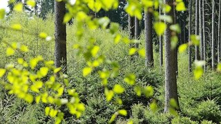 我国及部分省市环保材料行业相关政策:引导企业加大创新投入 推动新材料应用